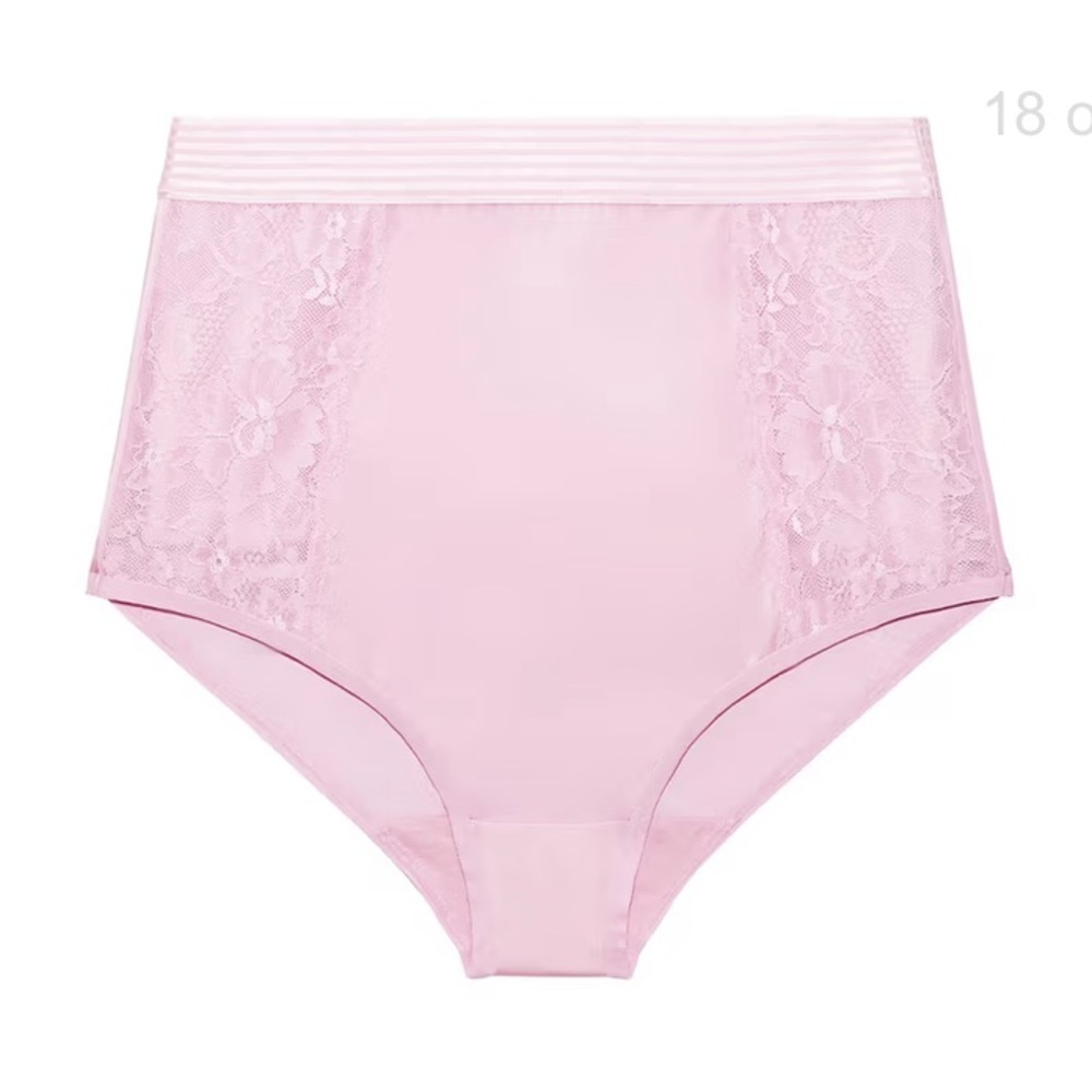 NWT Savage X Fenty Pink Lace High Waist Briefs Underwear 1X